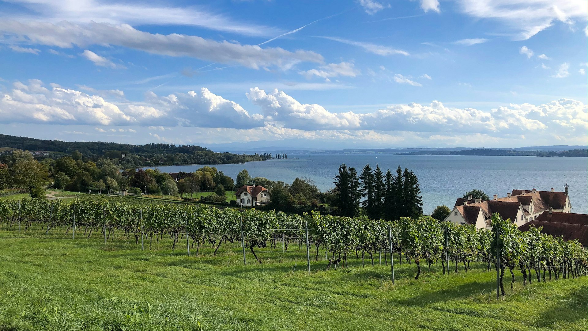 Hauspersonal in Bregenz